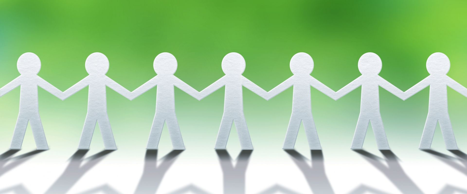 制度連携の専門家チームのイメージ