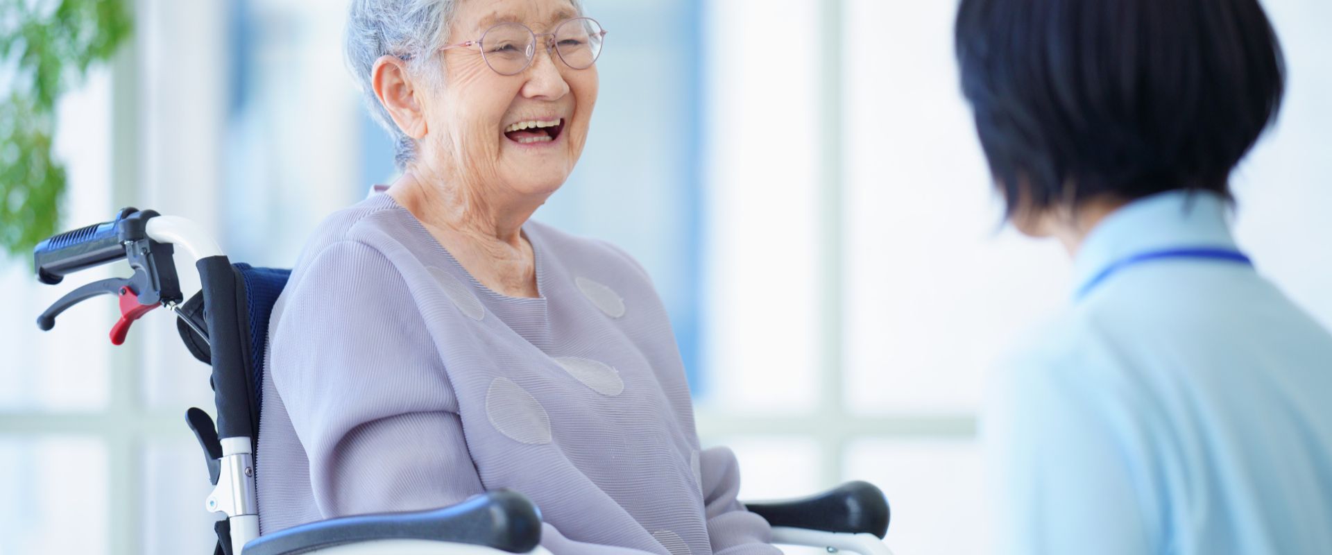 タブレットで施設情報を比較する様子