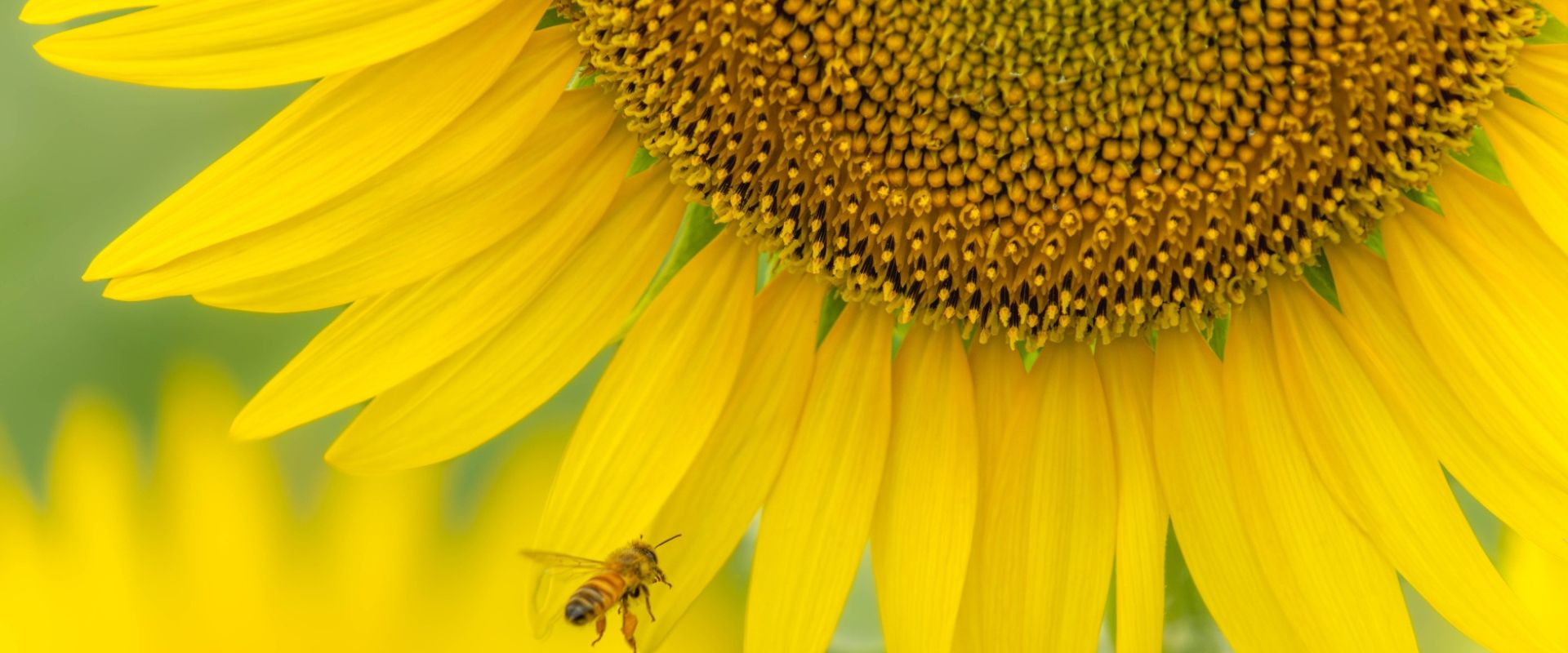 家と老夫婦のイメージ画像