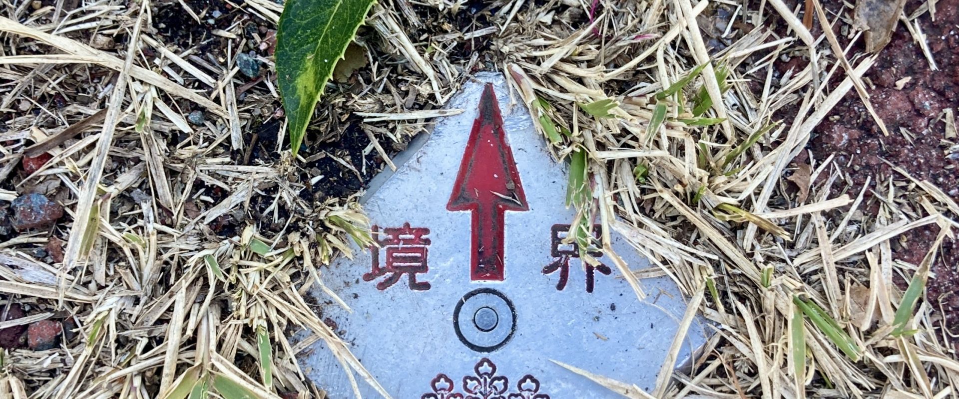 不動産のデータ分析の様子